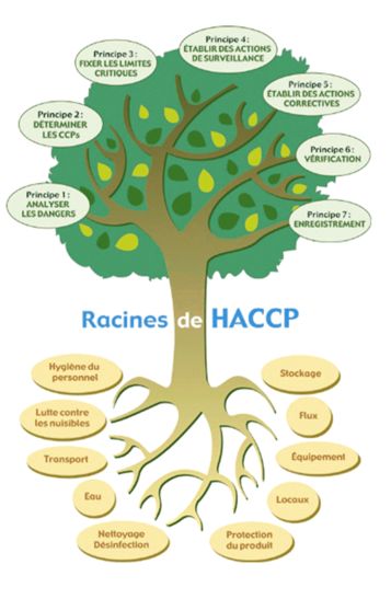 Figure 24 : Principe et fondement de la méthode HACCP (Asept, 08)