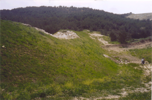 Figure 3 : Barrage écrêteur de crue - photo prise à l'intérieur de la cuvette