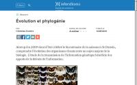 Accédez à la ressource pédagogique Évolution et phylogénie